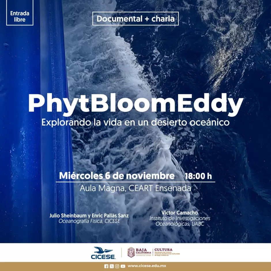 PhytBloomEddy