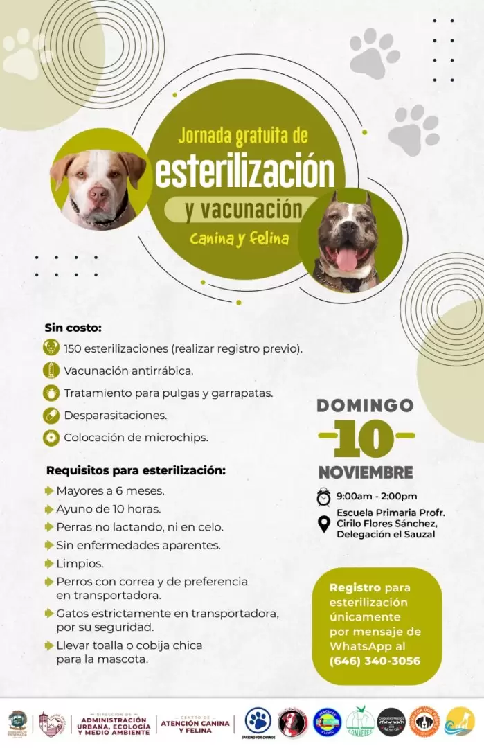 Campaa de esterilizacin de mascotas