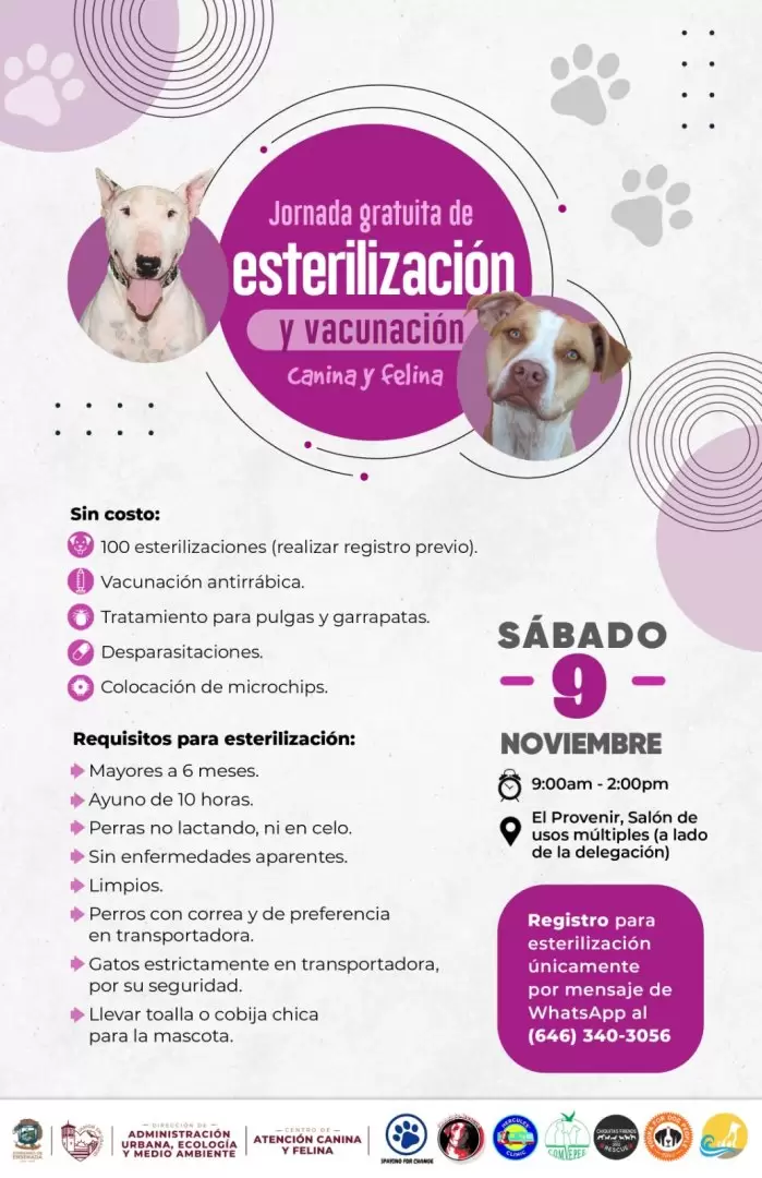 Campaa de esterilizacin de mascotas