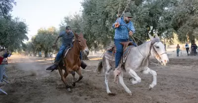 Carrera de Mulas