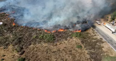 Incendio forestal