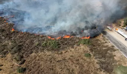 Incendio forestal