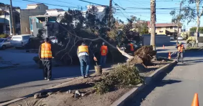 Atiende Gobierno de Ensenada 18 reportes relacionados con la Condicin Santa Ana