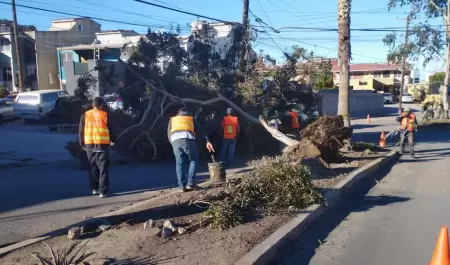 Atiende Gobierno de Ensenada 18 reportes relacionados con la Condicin Santa Ana