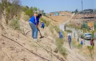 Visualizan ecologistas a Parque Esperanto como un centro de conservacin de Plantas Nativas