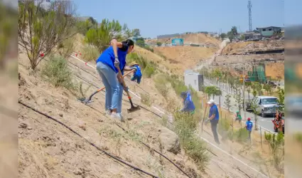 Visualizan ecologistas a Parque Esperanto como un centro de conservacin de Plan