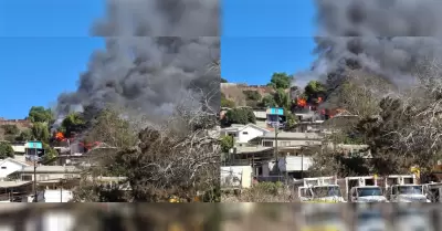 Incendio en Can de las Palmeras moviliz a Bomberos y Proteccin Civil en Tiju