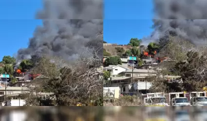 Incendio en Can de las Palmeras moviliz a Bomberos y Proteccin Civil en Tiju