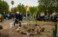 Plantan un rbol en Memoria de Ana Velia Guzmn y Maldonado en la UABC