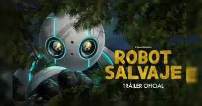 Robot Salvaje