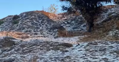 Cada de granizo y descenso en la temperatura