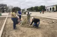 Promueve Hagamos Conciencia A.C. reforestacin y recuperacin de espacios en Baja California