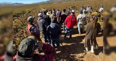 Realiza SADERBC taller prctico sobre la poda estratgica