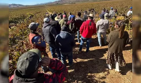 Realiza SADERBC taller prctico sobre la poda estratgica