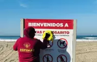 Gobierno de Rocio Adame Muoz recolecta cerca de 8 toneladas de basura en Playas de Rosarito