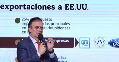 Marcelo Ebrard, titular de la Secretara de Economa.