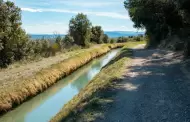 "Estamos poniendo orden en el uso de concesiones de agua": Sheinbaum