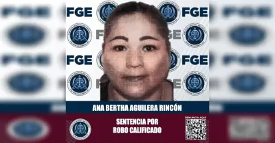 Mujer detenida por robo