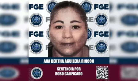 Mujer detenida por robo