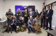 Recibe Fiscala General del Estado donacin de cuatro cachorros para unidades K9