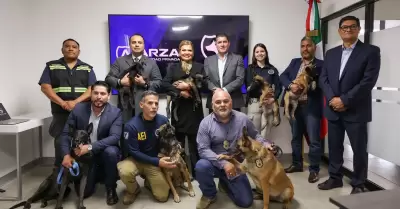 Fiscala General del Estado donacin de cachorros