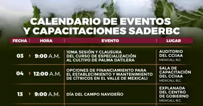 Calendario de eventos y capacitaciones para el mes de diciembre