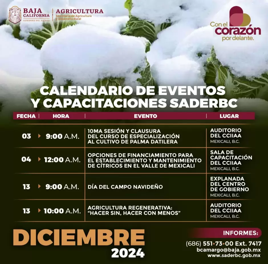 Calendario de eventos y capacitaciones para el mes de diciembre