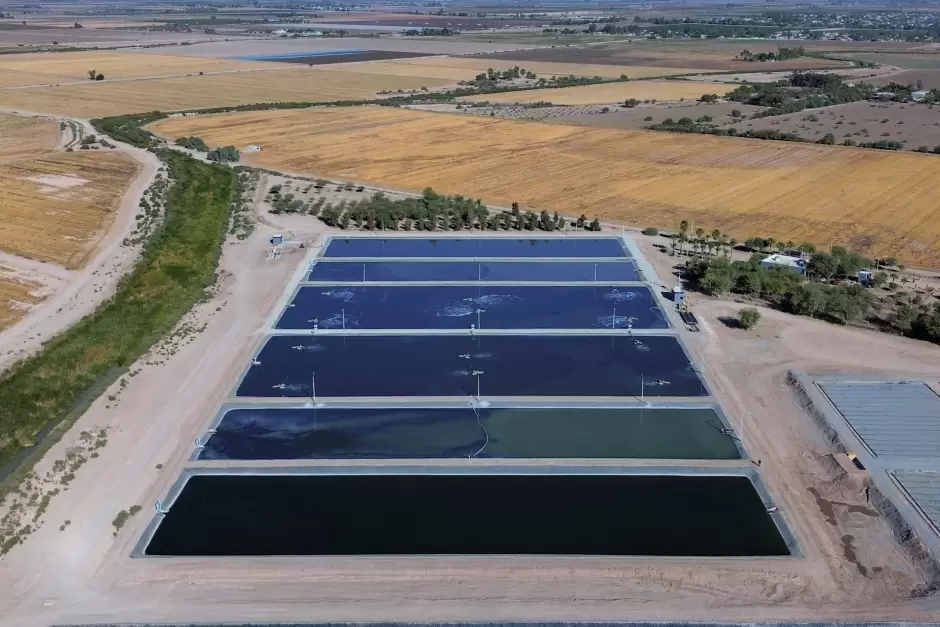 Inaugura gobernadora Marina del Pilar humedal artificial en el Valle de Mexicali