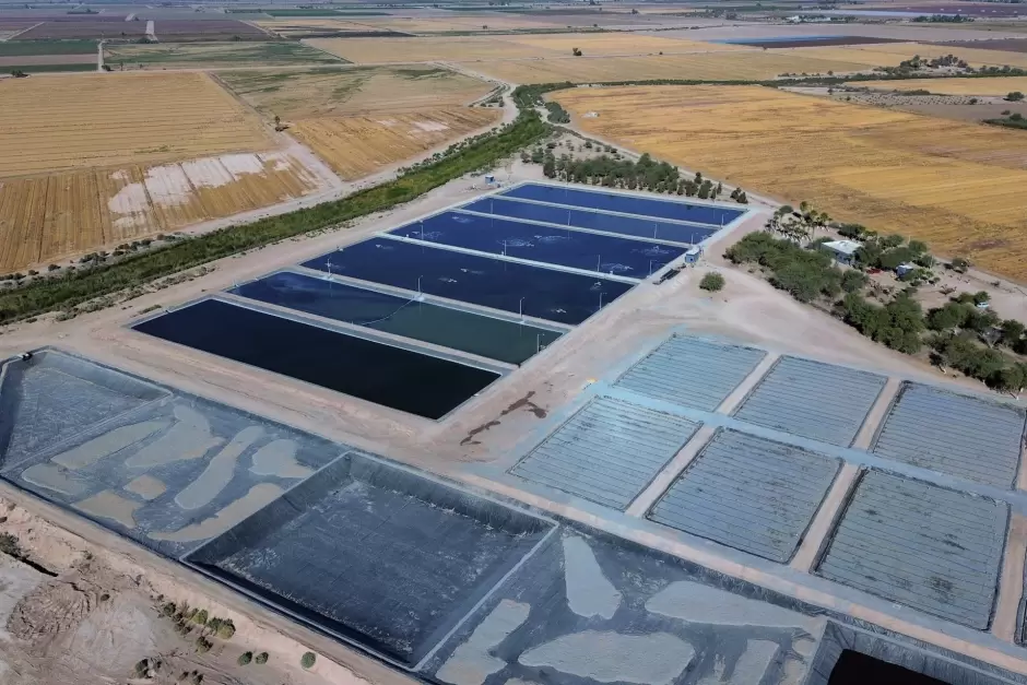 Inaugura gobernadora Marina del Pilar humedal artificial en el Valle de Mexicali