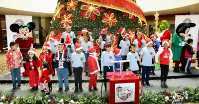 Encienden el rbol navideo en el vestbulo de la Casa Municipal.