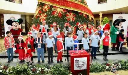 Encienden el rbol navideo en el vestbulo de la Casa Municipal.