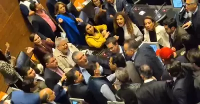 Pleito en el Senado