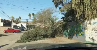 Sin incidentes mayores por condicin Santa Ana