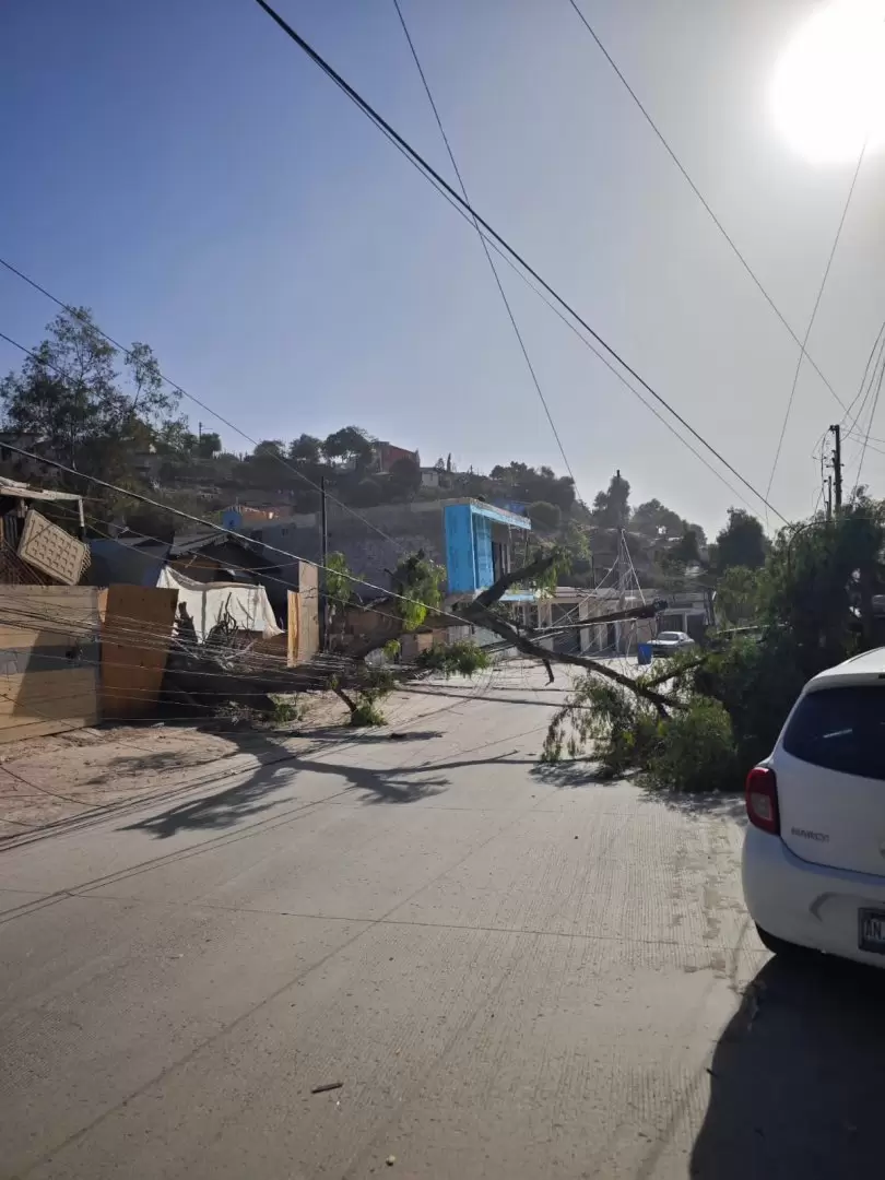 Restablecen suministro elctrico tras rachas de viento en Tijuana