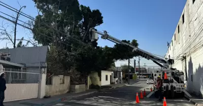 Restablecen suministro elctrico tras rachas de viento en Tijuana