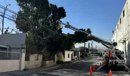 Restablecen suministro elctrico tras rachas de viento en Tijuana