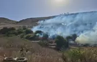 Bomberos de Rosarito atendieron mltiples emergencias por vientos de Santa Ana