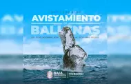 Inicia temporada de avistamiento de ballena gris en Ensenada