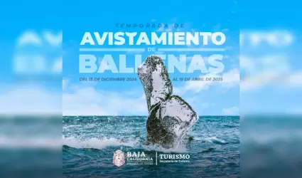 Avistamiento de ballena gris