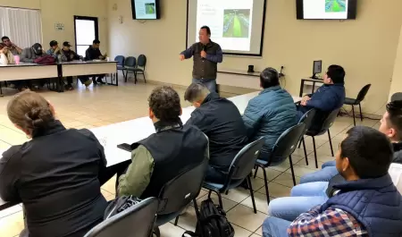 Capacitacin sobre la Plaga Dorso de Diamante