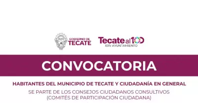 Convocatoria de integracin de los Consejos Ciudadanos Consultivos