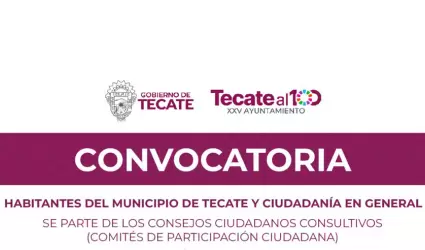 Convocatoria de integracin de los Consejos Ciudadanos Consultivos