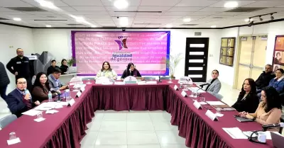 Comisi�n de Igualdad de G�nero "Ley Daryela"