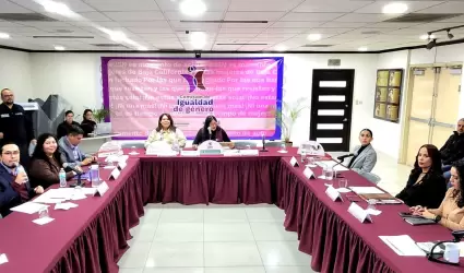 Comisi�n de Igualdad de G�nero "Ley Daryela"