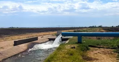 Llama AGRICULTURA a los productores de la Zona Costa deBC a registrarse al Prog