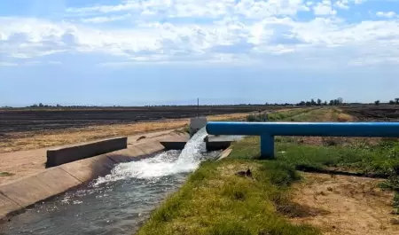 Llama AGRICULTURA a los productores de la Zona Costa deBC a registrarse al Prog