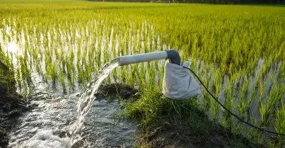 Agua riego agua campo