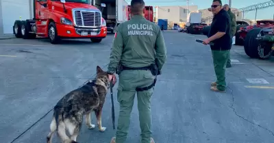 Unidad Canina K9 acredita certificacin anual en deteccin de narcticos