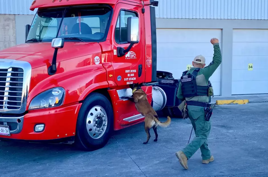 Unidad Canina K9 acredita certificacin anual en deteccin de narcticos