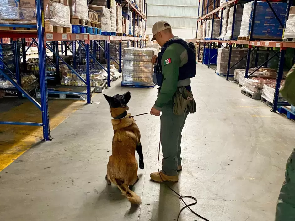 Unidad Canina K9 acredita certificacin anual en deteccin de narcticos